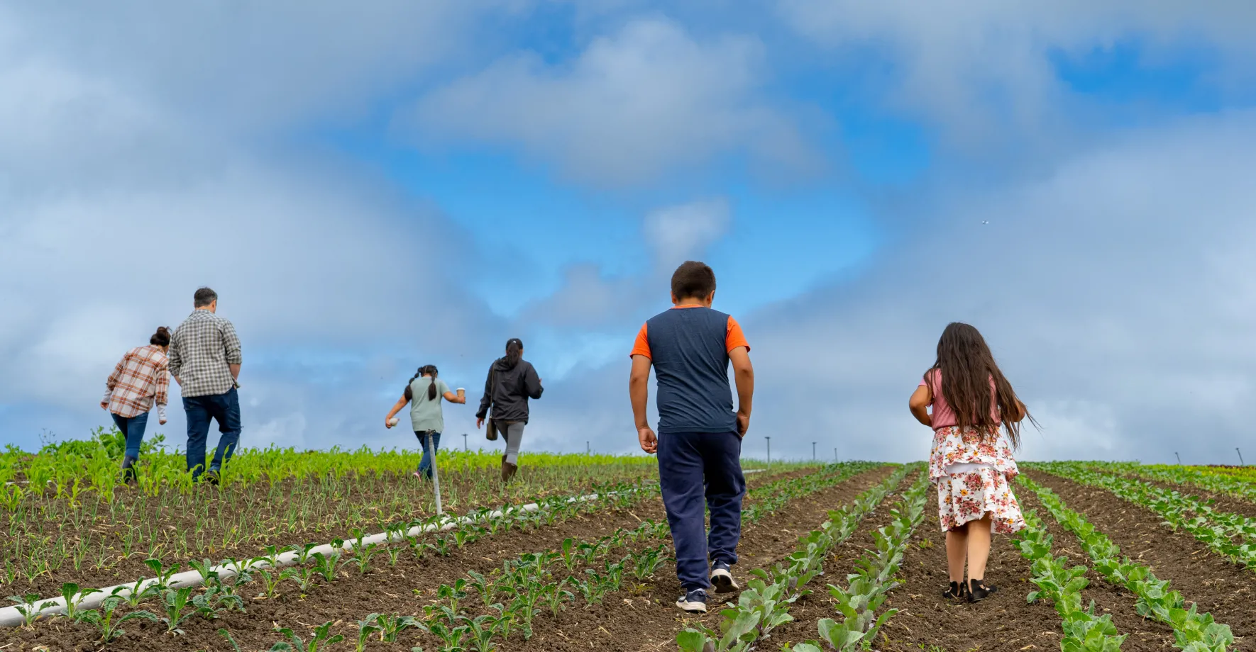 Kids in a farm field