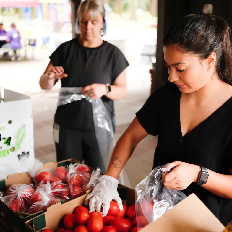 Disaster relief volunteer packs apples for food distribution