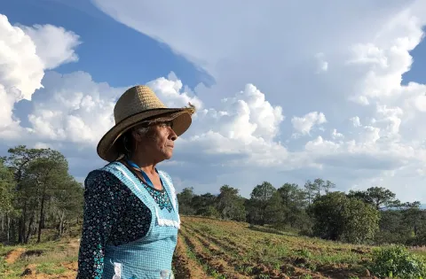 Indigenous woman in a field.